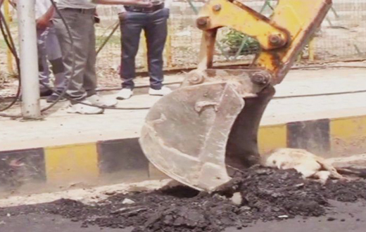 Road build overr dog in agra